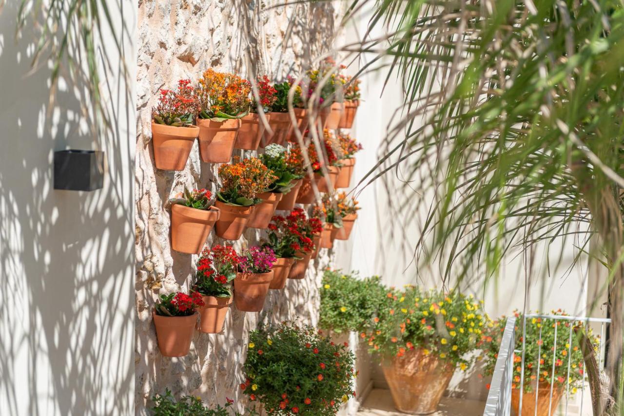 Placeta Vella Turismo De Interior Thị trấn Thị trấn Caimari Ngoại thất bức ảnh